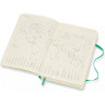 Ежедневник MOLESKINE CLASSIC SOFT POCKET (мятный) DSK4612DC2